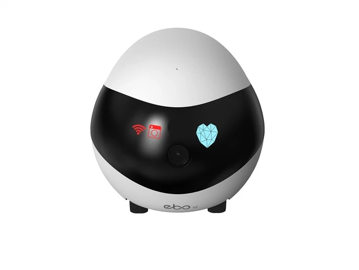 Home Robot