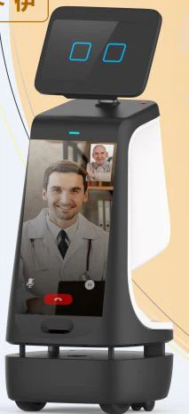 Intelligent Reception Robot C1